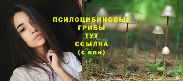 спиды Богородицк