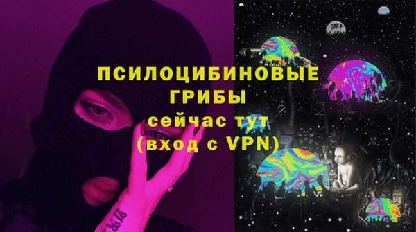 бошки Армянск