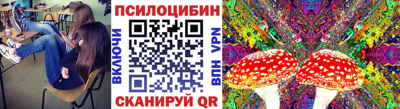 Псилоцибиновые грибы MAGIC MUSHROOMS Межгорье